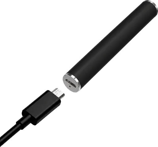 Ray Battery rechargeable 350mAh with micro-USB charger